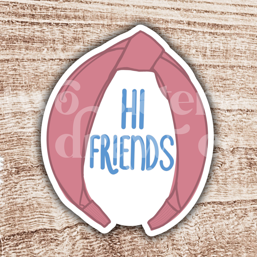 Ms. Rachel Inspired "Hi Friends" Headband Sticker