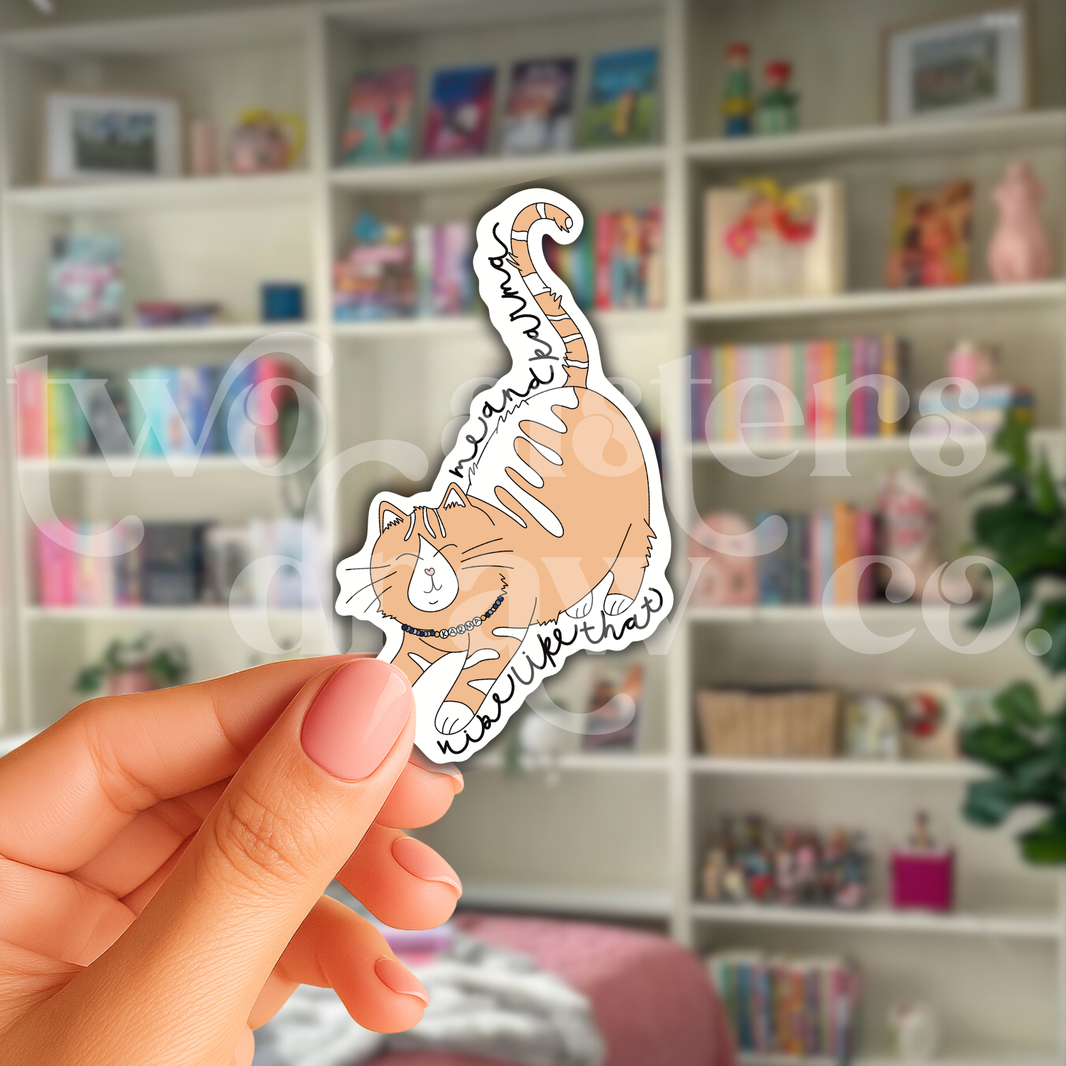 Karma Is A Cat Taylor Swift Sticker